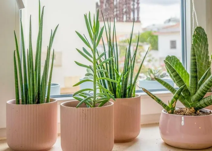 Townhouse Near Lighthouse & Big Waves アパート